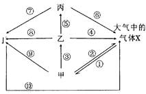 生態(tài)系統(tǒng)碳循環(huán)分析 光合作用、化能合成作用與海洋生物活性物質(zhì)提取的關(guān)聯(lián)