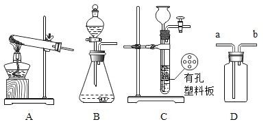 化學(xué)用語填空與海洋生物活性物質(zhì)提取簡述